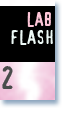 lab flash 2 - HARD FUN